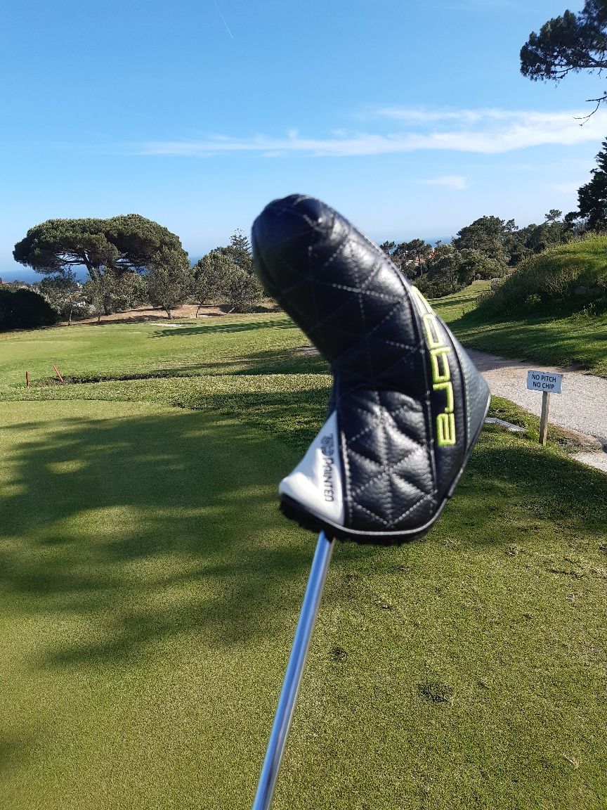 Putter Armlock Cobra