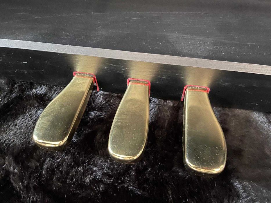 Pianino cyfrowe CASIO Celviano AP-470 + krzesło regulowane