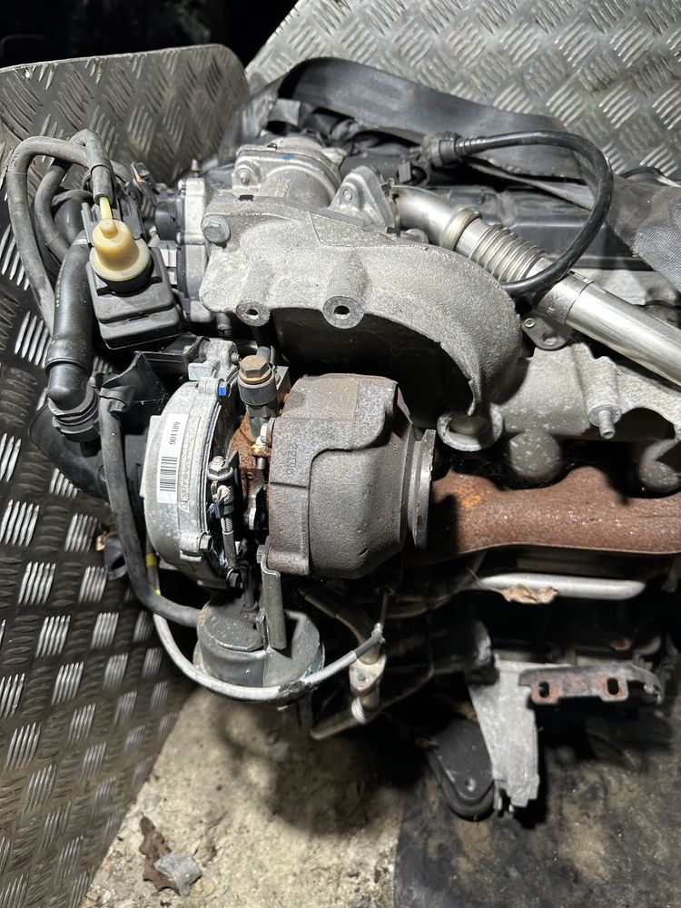 Двигун Мотор Renault, Nissan 1.9 dci F9Q 816, 804, 818 Рено Ніссан