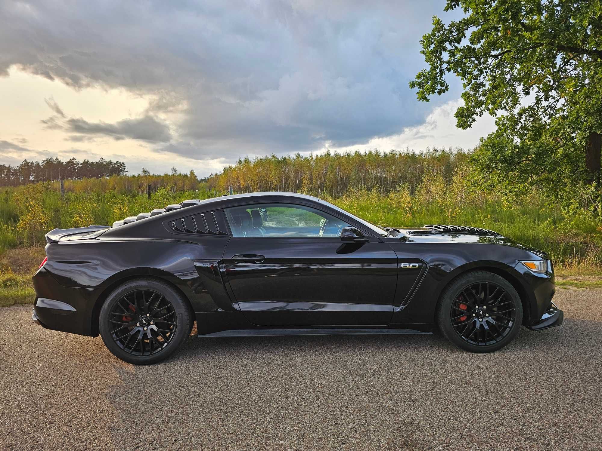 Ford Mustang VI 5.0 V8 50th aniversary edition