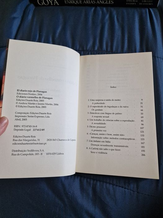 O Diário Vermelho de Flanagan de Andreu Martín e Jaume Ribera
