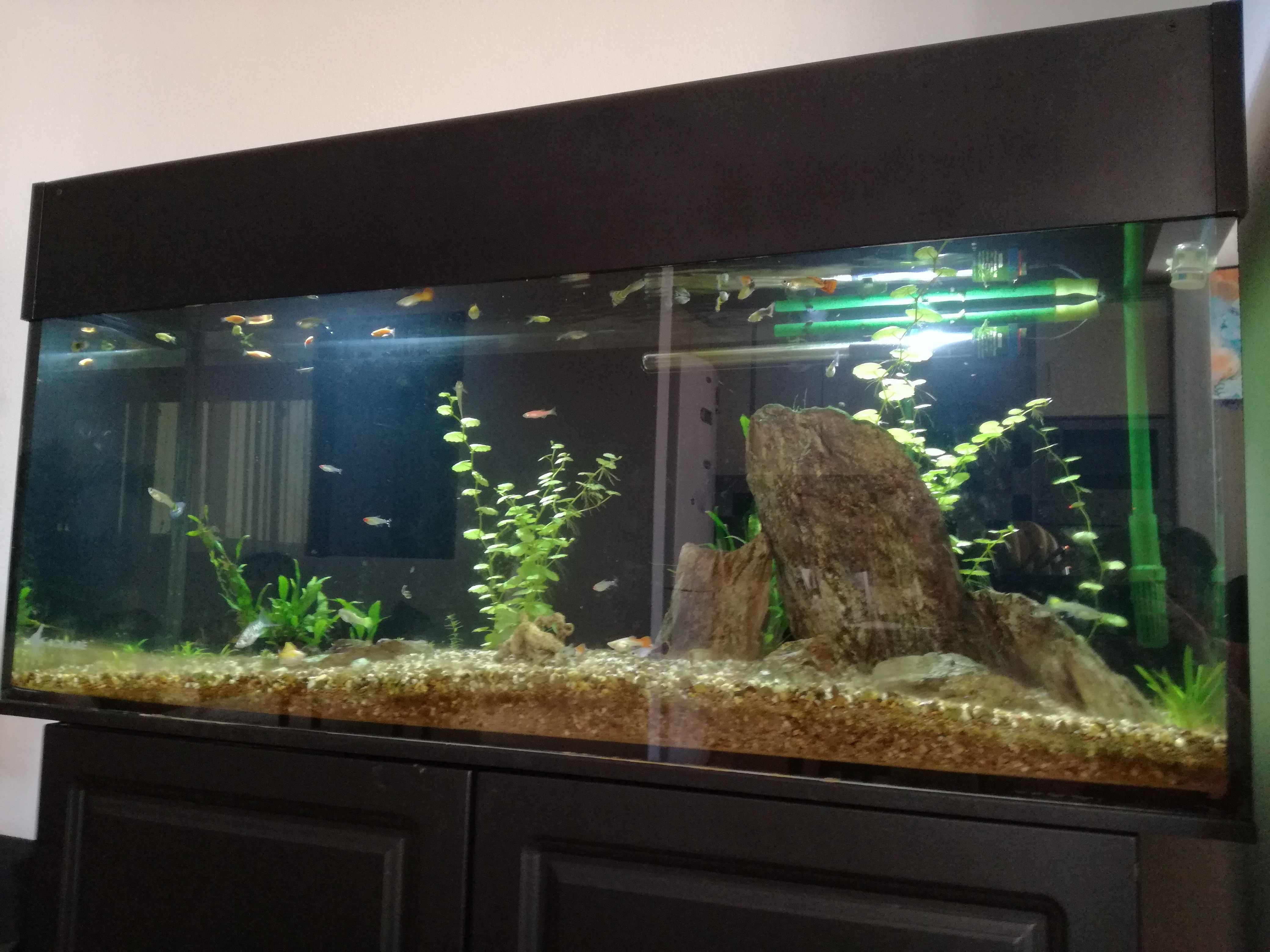 Vendo aquário 1200x500x400mm