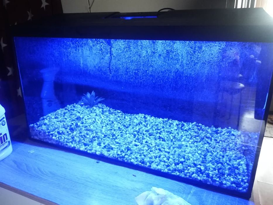 Akwarium 105l polecam