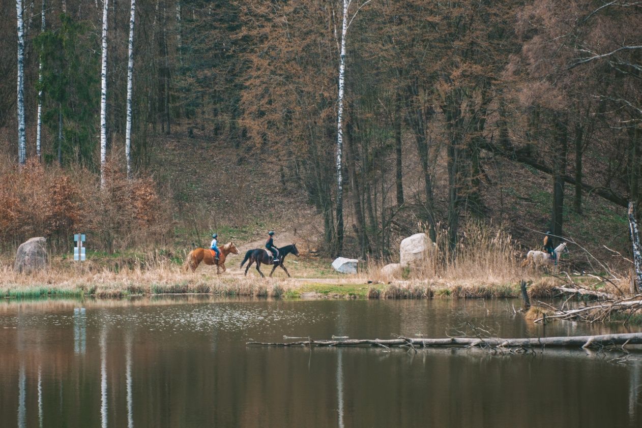 Sowia  Chatka,  domek w naturze, domek w lesie,  wzgórza dylewskie