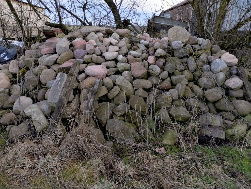 Kamień polny brukowiec