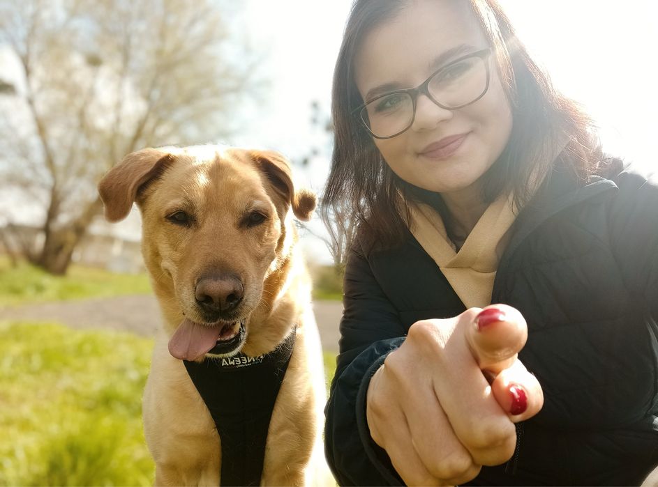 Konsultacje behawioralne otwock certyfikowany behawiorysta psów