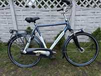 Rower mijejski Gazelle Montreux limited rama 61cm