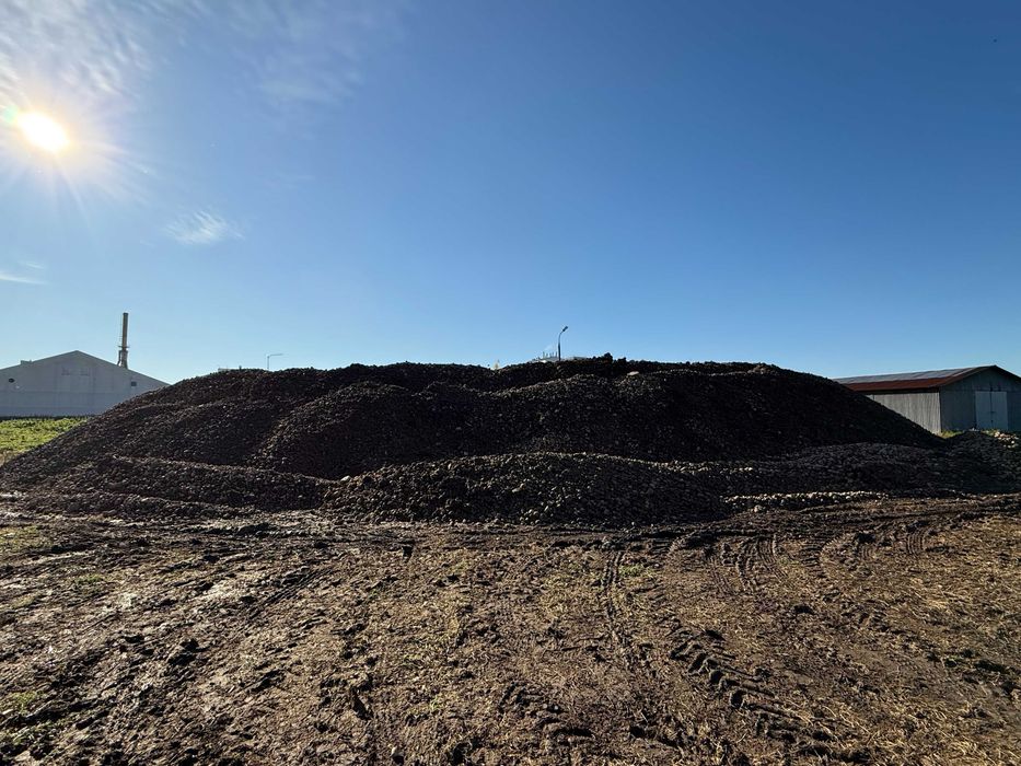 Kamień polny - różne rozmiary - sprzedaż bezpośrednia