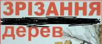 Надам послуги по зрізанні дерев