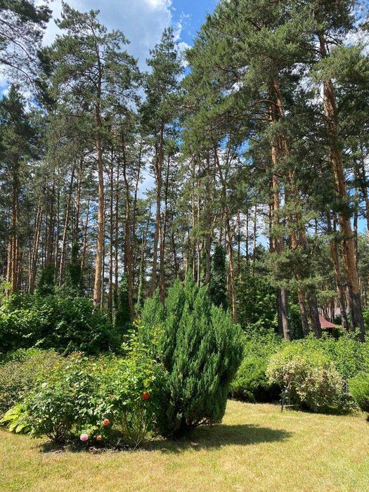 Продаж БУДИНКУ на 36 сотках! Власний ліс. Глеваха,