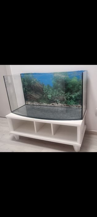 Akwarium 120L z szafką i ozdobami