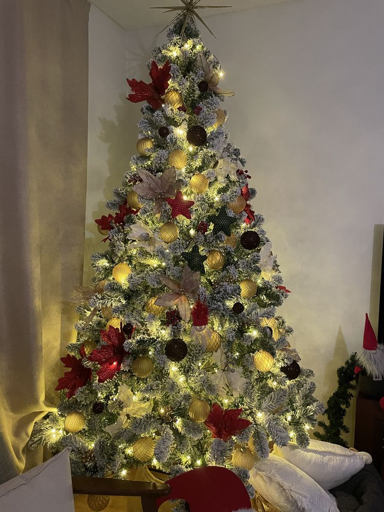 Arvore de Natal - Area