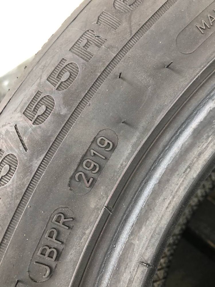 Розпаровка 225/55 r16 Dunlop Winter Sport 5 2019р (664)