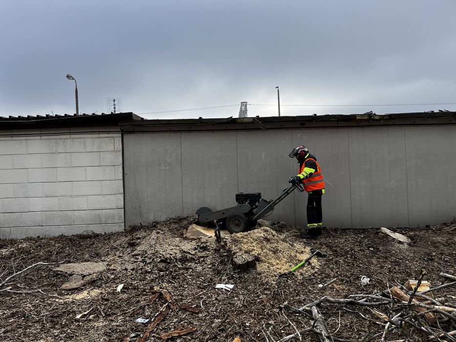 Wycinka drzew, pielegnacja drzew, przygotowanie terenu pod budowe