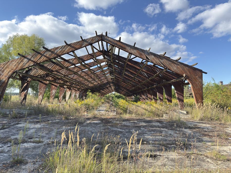 Konstrukcja Hali drewniana