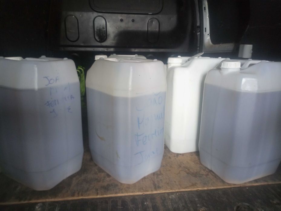 Vendo Azeite Extraído de Oliveiras Galegas