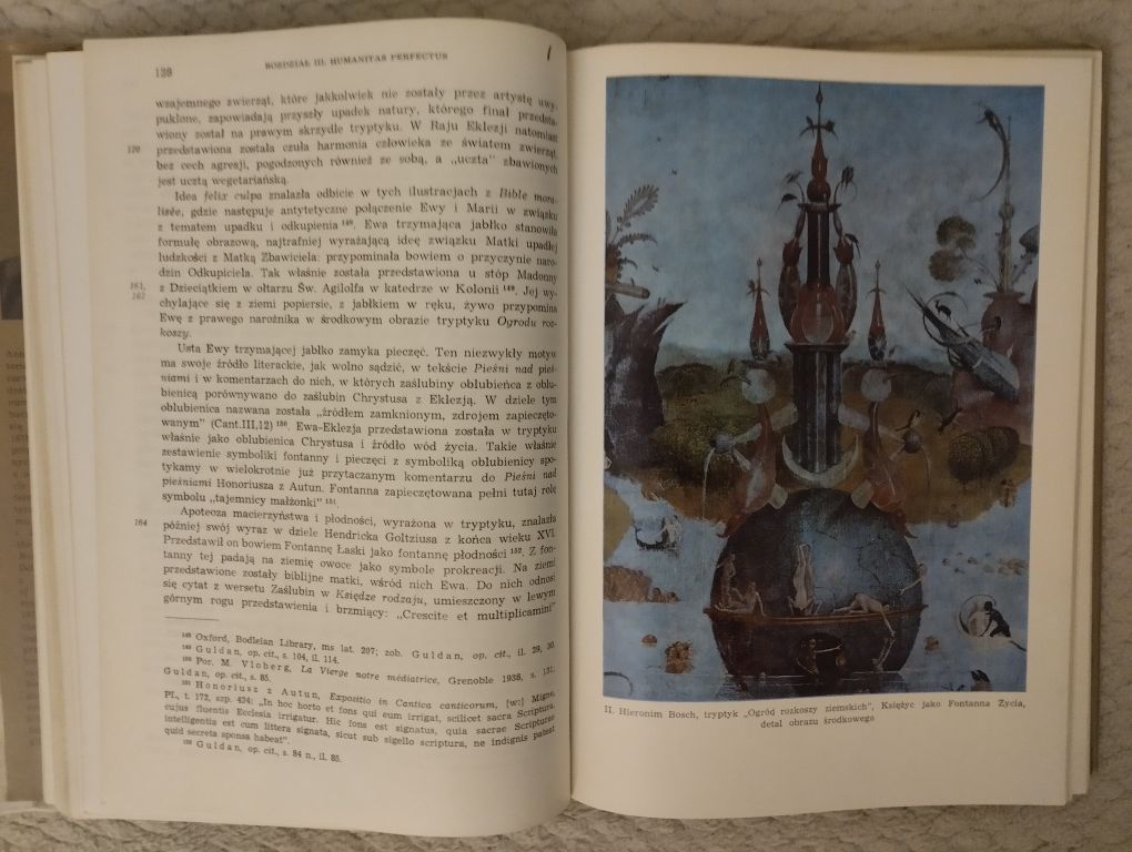 Hieronim Bosch. Astrologiczna symbolika jego dzieł