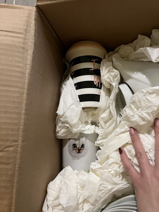 Talerze, kubki - oddam za darmo