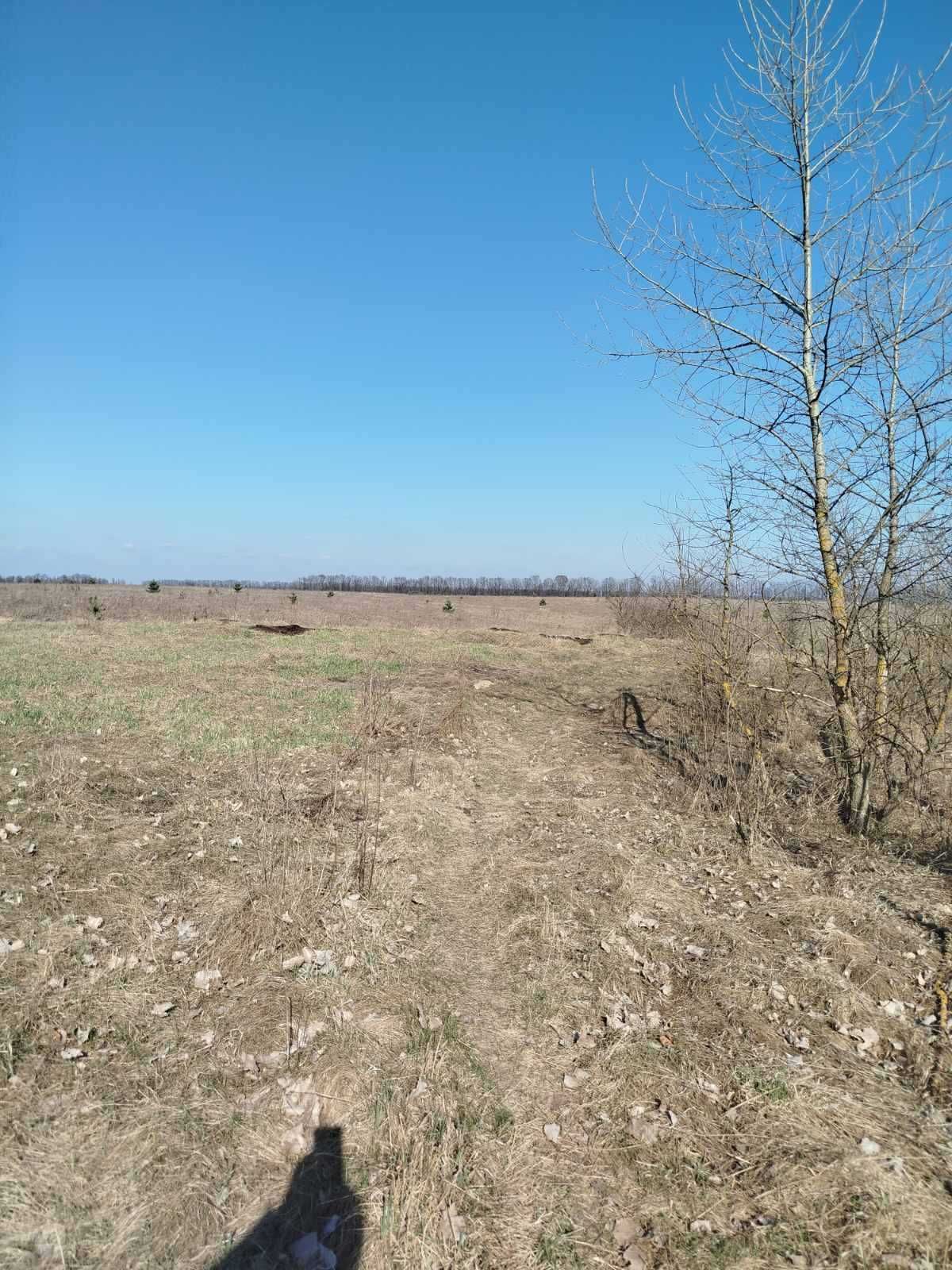 Продам ділянку (8289)