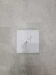 Apple Air pods pro