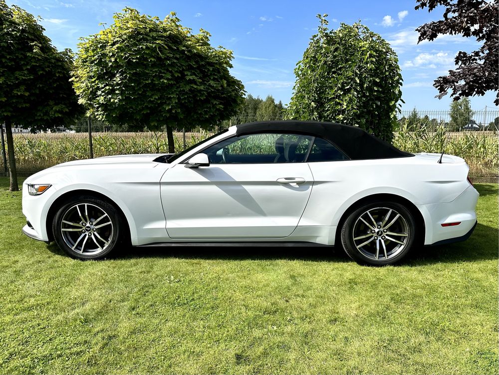 Wypozyczalnia aut promocja Mecdedes Audi Mustang wynajem aut FV