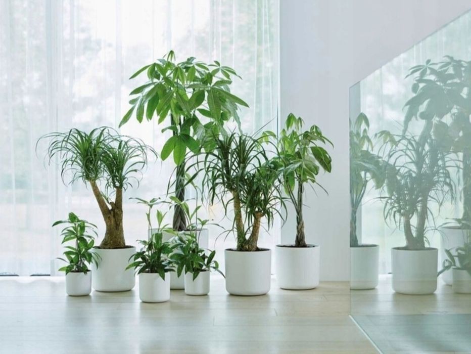 ELHO B.FOR SOFT okrągła osłonka 25c biała