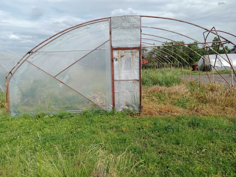 Sprzedam tunel foliowy