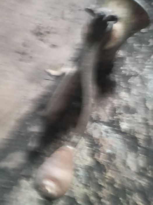 Мясорубка. Ссср. Хтз.