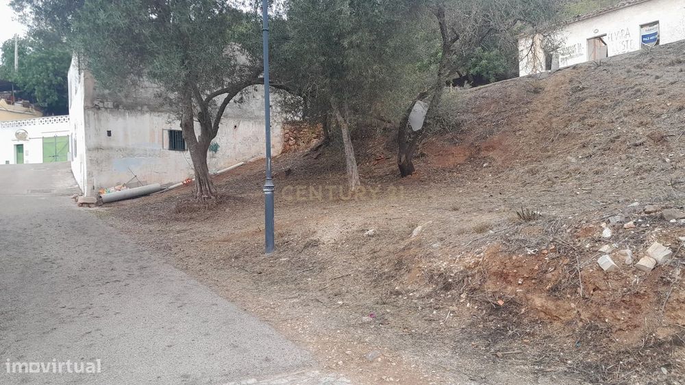 Terreno Rustico