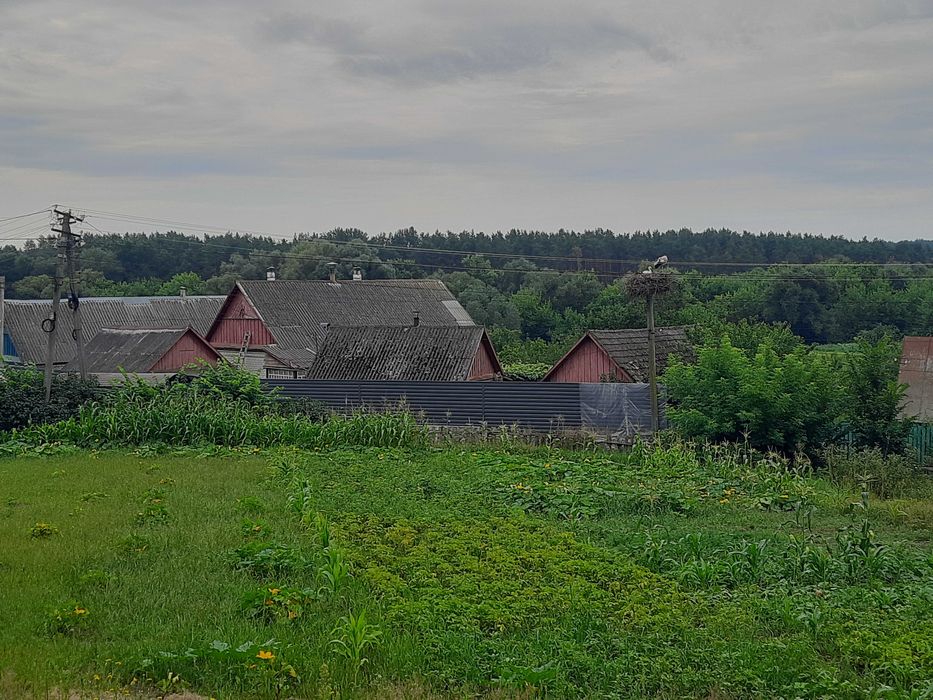 Продам земельну ділянку 25 соток