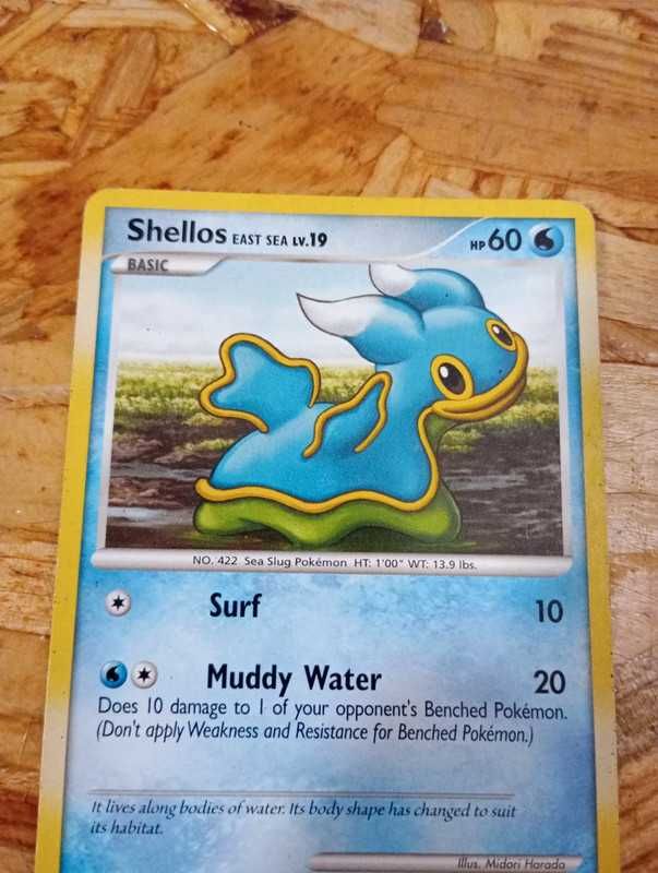 Shellos 73 / 100