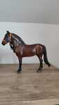 Breyer dominante