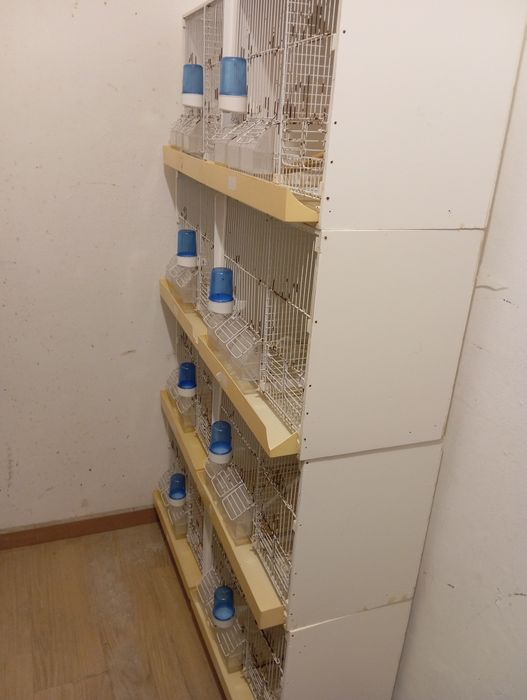 Viveiros PVC 8 buracos