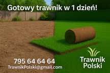 PROMOCJA 40 M2 Trawa w rolce, trawa z rolki, trawa, TRAWNIK POLSKI