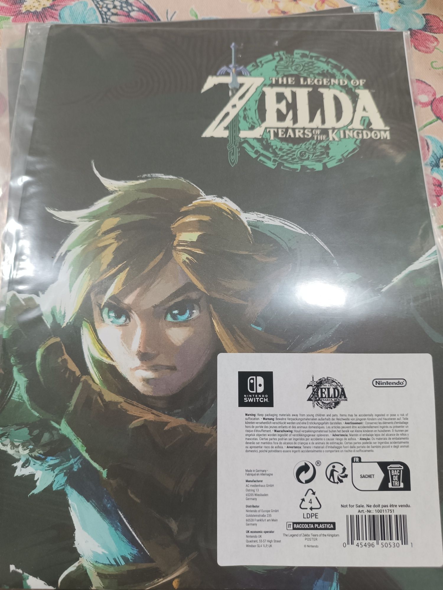 Poster Zelda Tears Of Kingdom