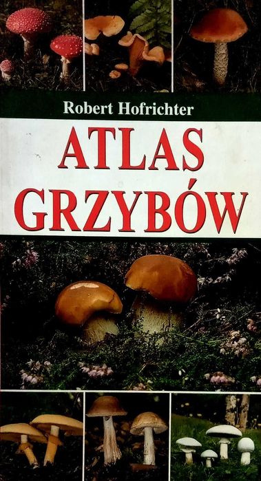 376 Robert Hofrichter Atlas Grzybów (P) (16)