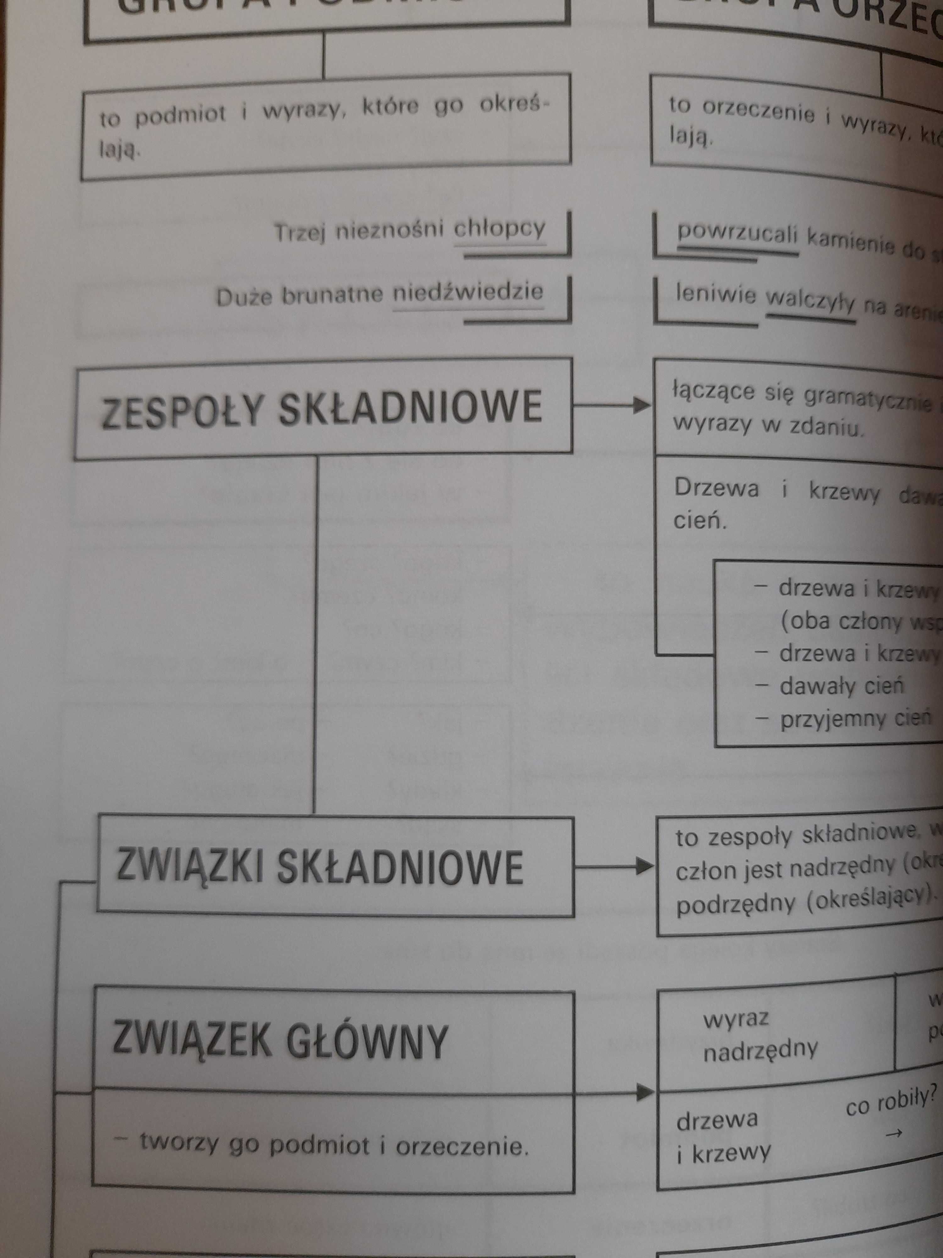 Gramatyka na bardzo dobry