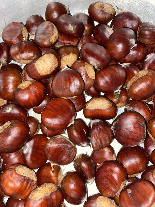 Vendo castanhas de qualidade