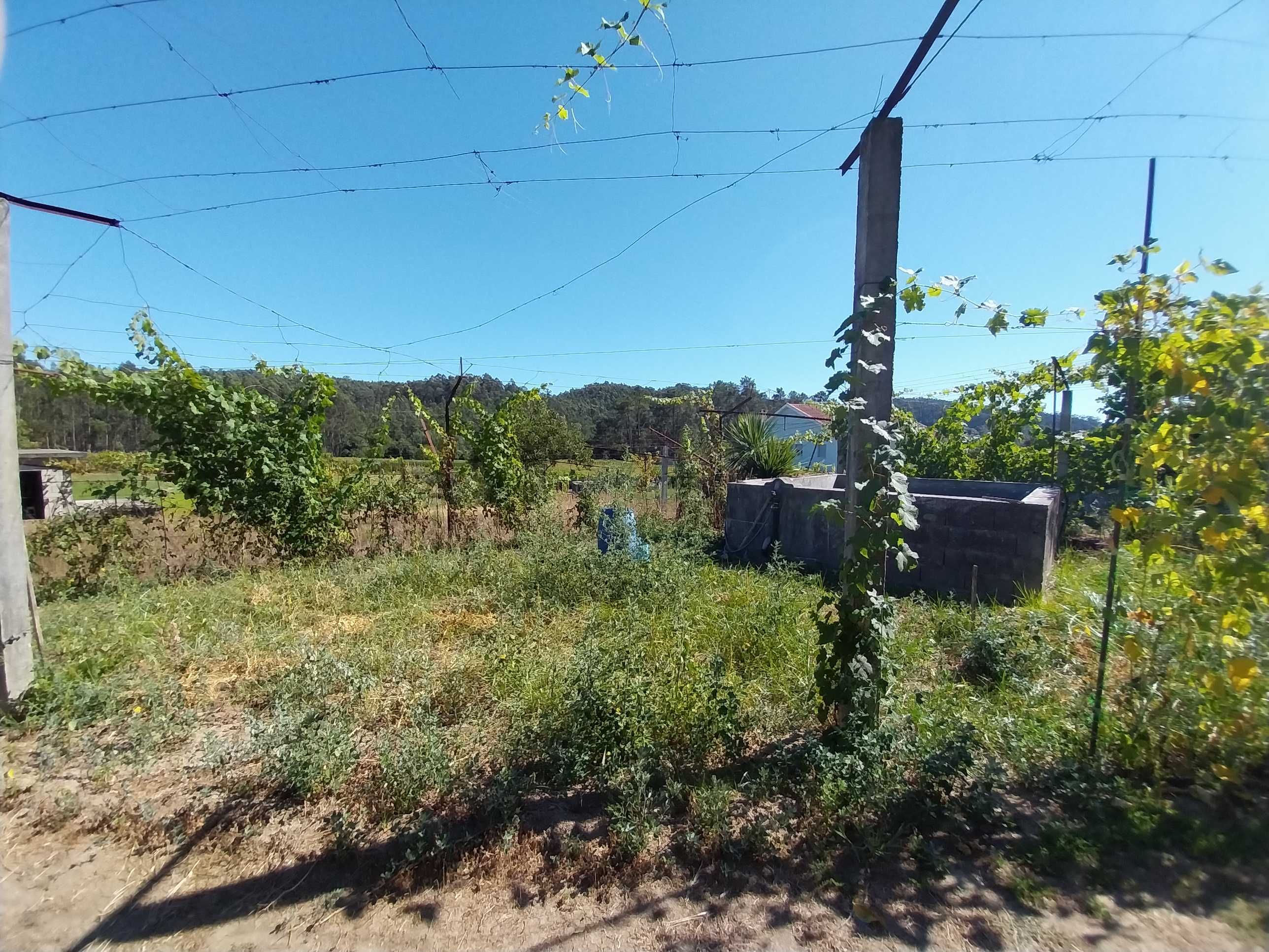 Terreno à venda em Ruílhe