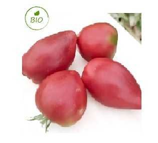 vendo sementes tomate morango