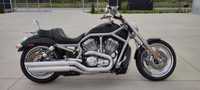 Harley-Davidson V-Rod Street Rod Bezwypadkowy V-ROD. 2002r. niski przebieg 15027km