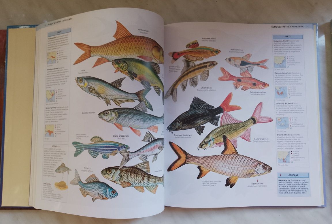 Encyklopedia Zwierząt 4 tomy