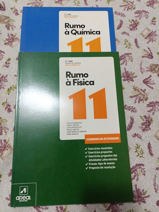 Livros de fichas de Fisica e Química 11°ano
