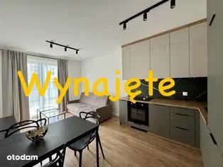 Mieszkanie 3 pokojowe, bezpośrednio, FV, dostępne od 1 października