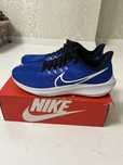 Кросівки Nike Air Zoom Pegasus 39 DH4071-400