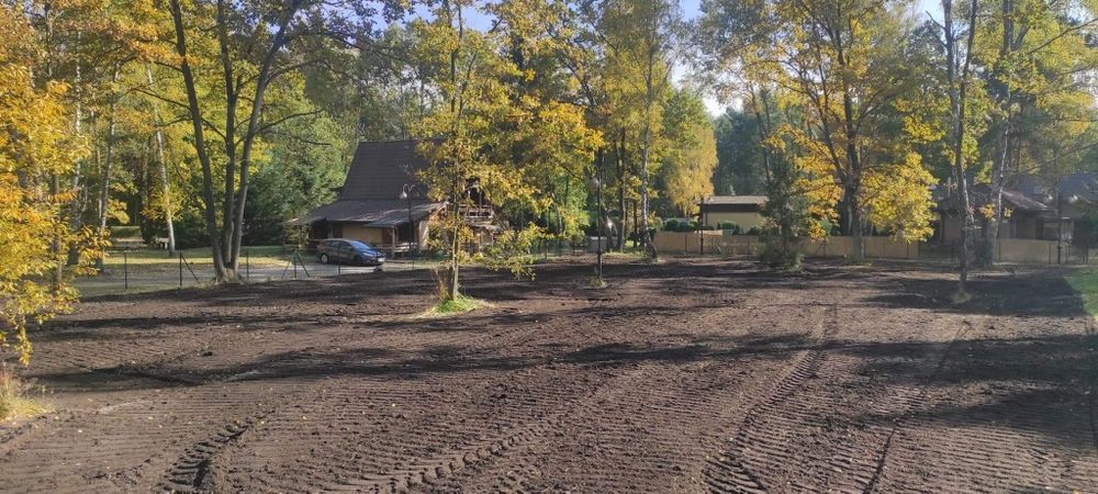 Wycinki, karczowanie drzew, mulczowanie TANIO !!