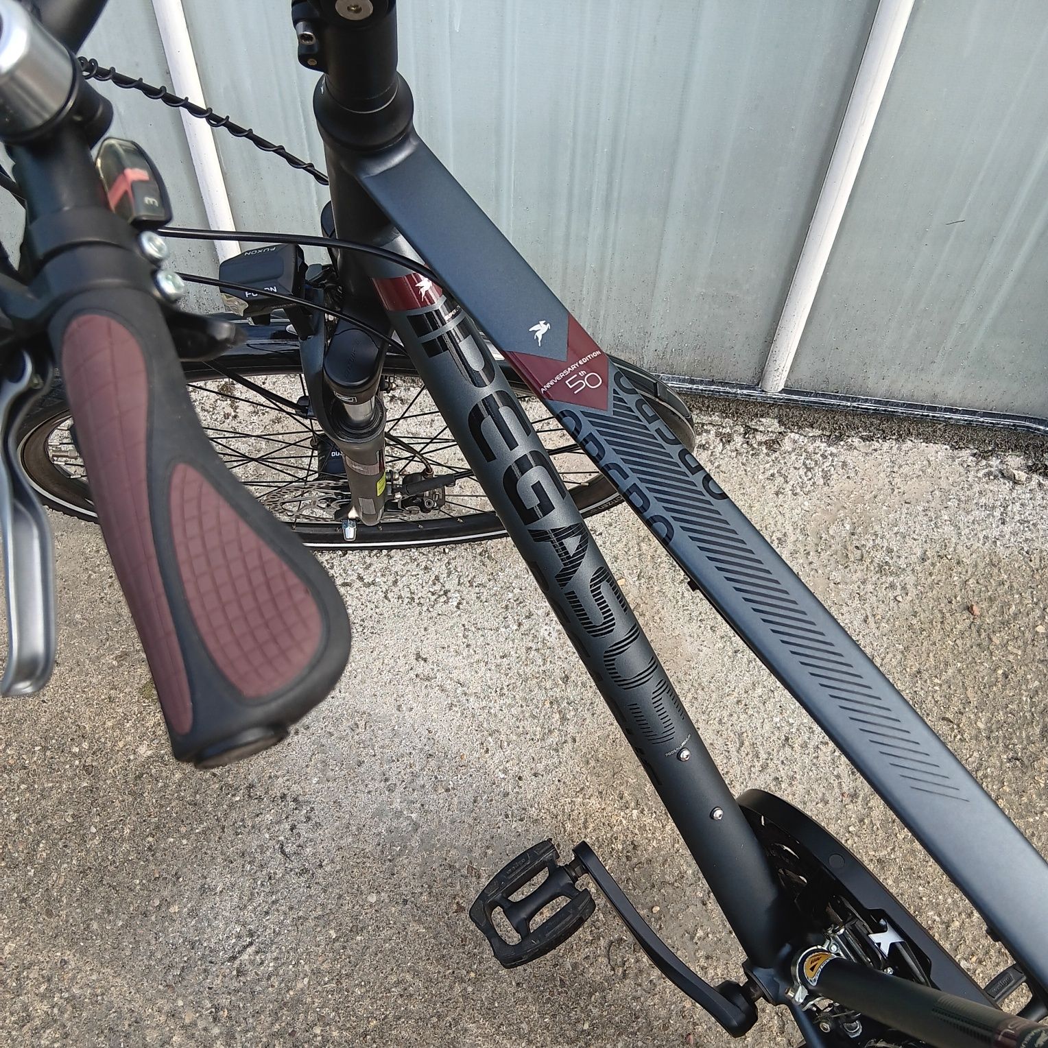 Rower trekkingowy Pegasus Opero SL