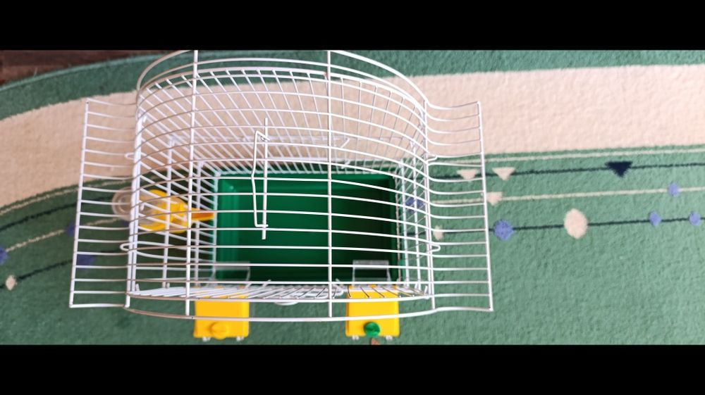 Клітка для папуги