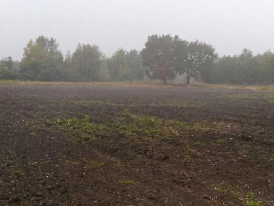 Земельна ділянка, Ватажкове