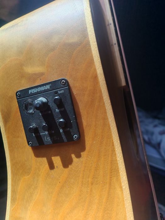 Tanglewood TW 11 D OL Winterleaf